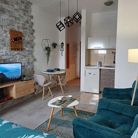Apartment Centrum - Free private parking Novi Sad Buitenkant foto