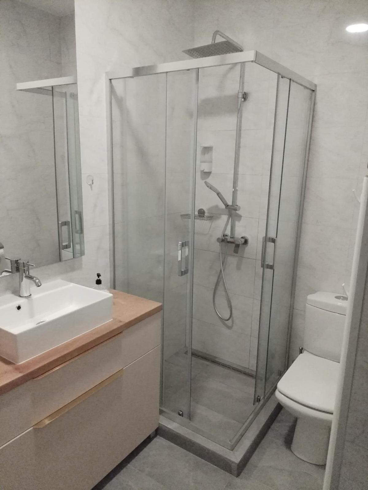 Apartment Centrum - Free private parking Novi Sad Buitenkant foto