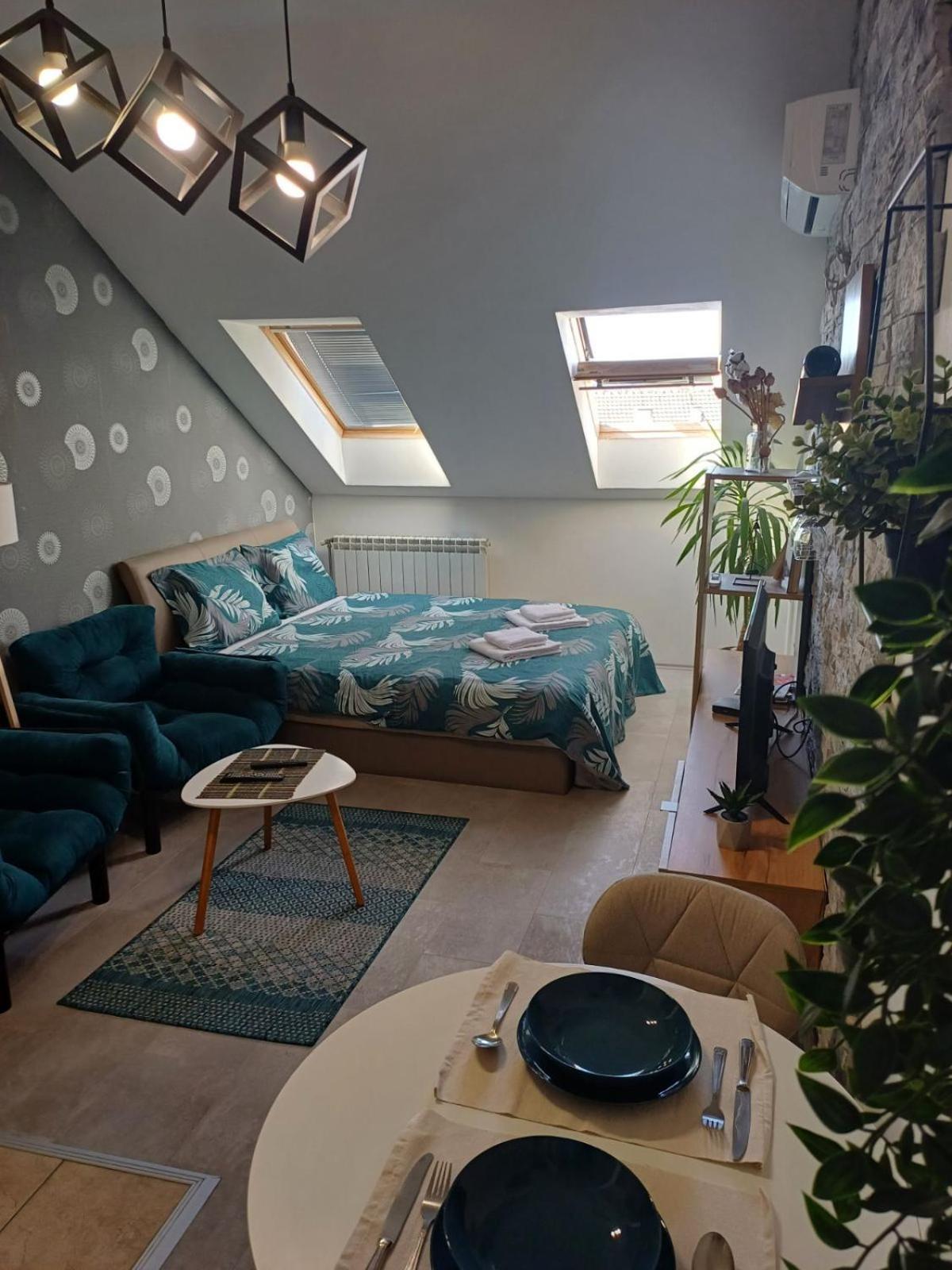Apartment Centrum - Free private parking Novi Sad Buitenkant foto