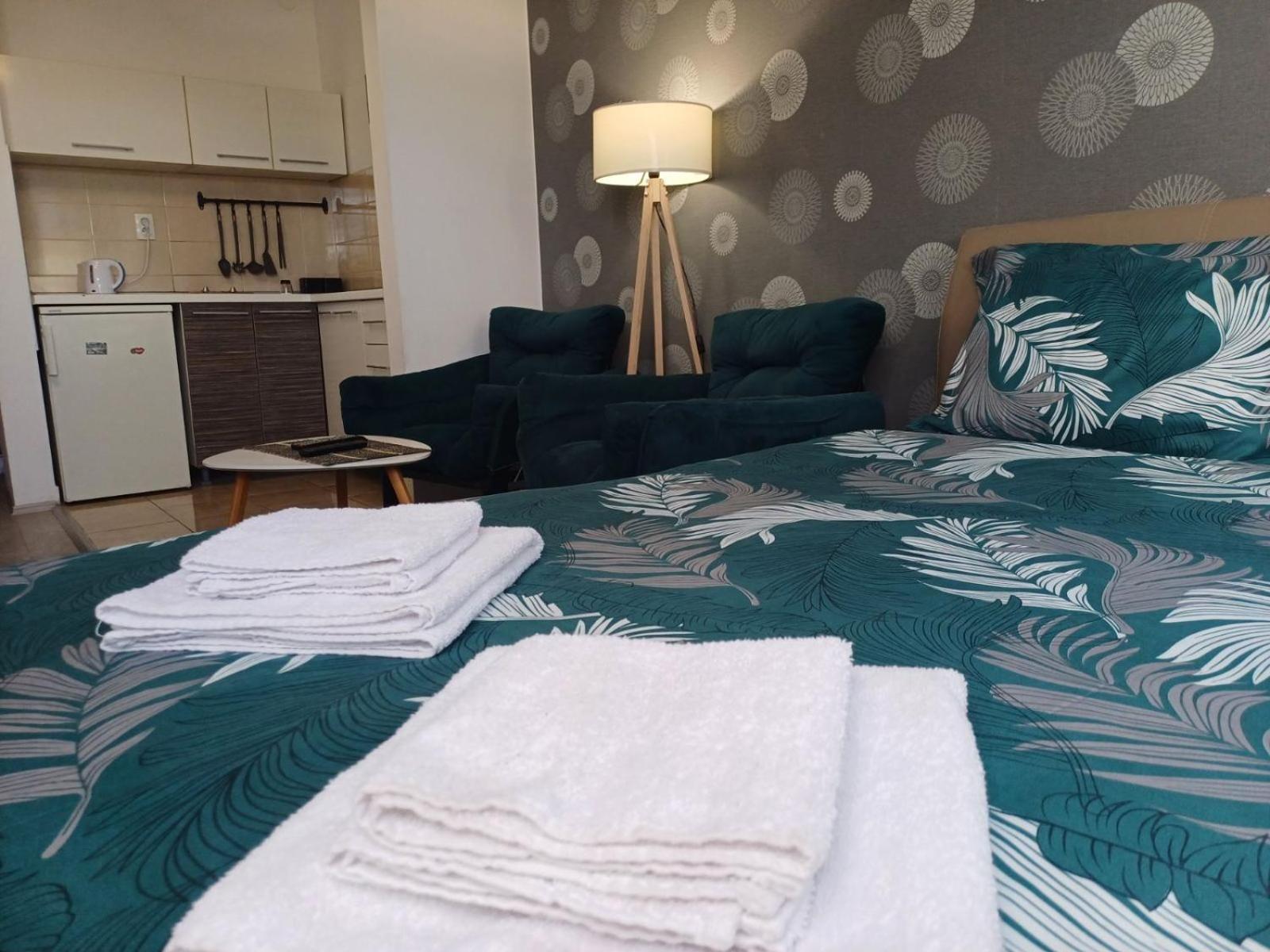 Apartment Centrum - Free private parking Novi Sad Buitenkant foto
