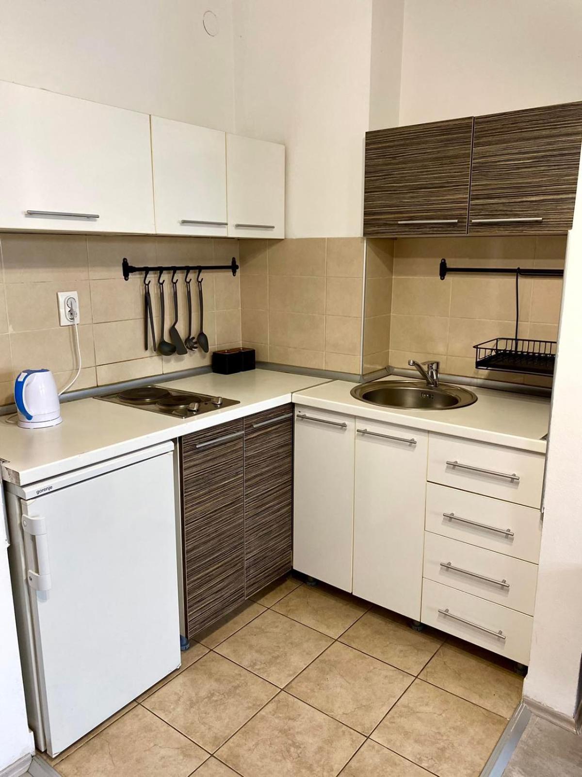 Apartment Centrum - Free private parking Novi Sad Buitenkant foto